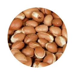 HUILE D'ARGAN bio